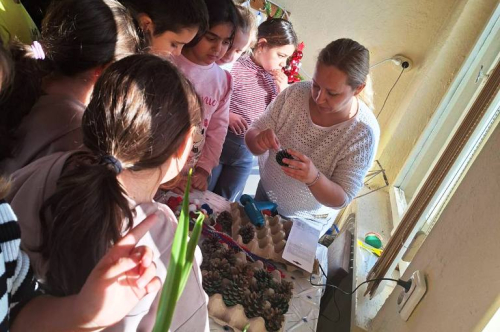 КОЛЕДНА РАБОТИЛНИЦА ЗА ДЖУДЖЕТА